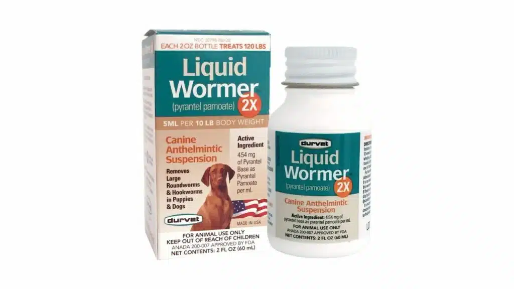 11 best dewormer for dogs: top 5 effective options in 2023