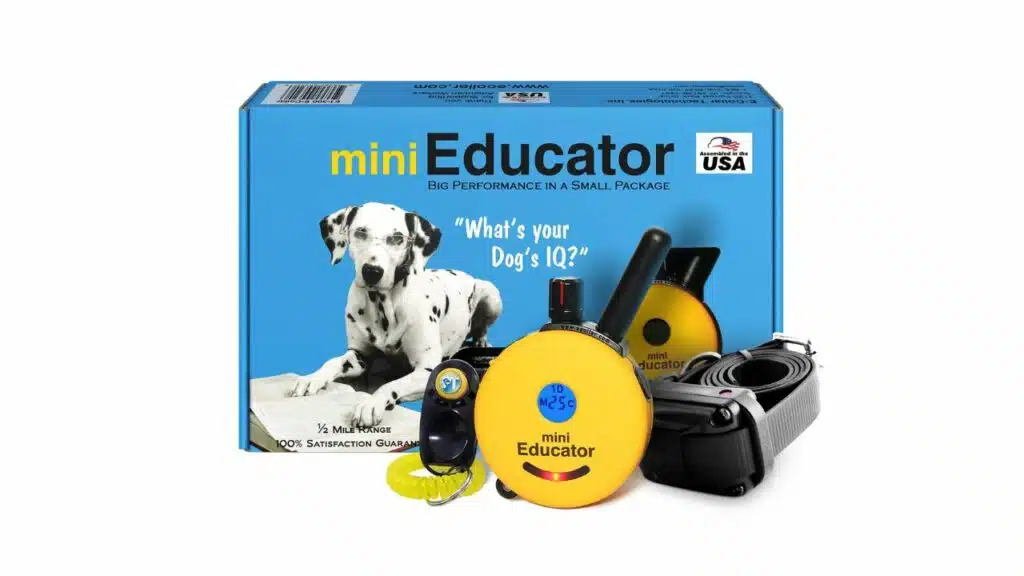 Educator e-collar training kit
