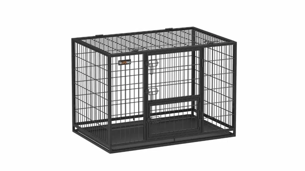 Best dog crates for large dogs: top picks for comfort and safety