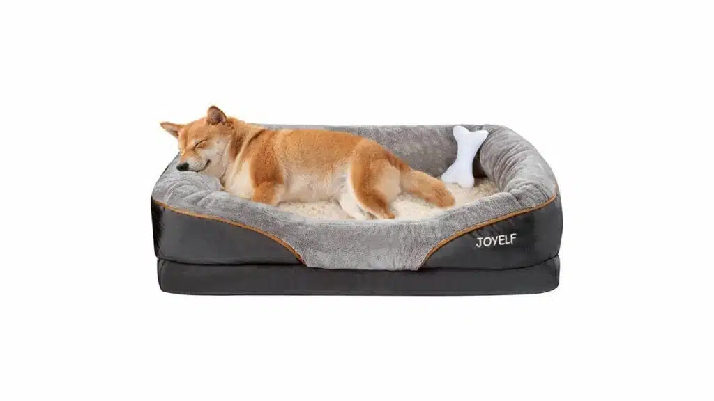 Best dog beds for large dogs: top picks for comfort and support