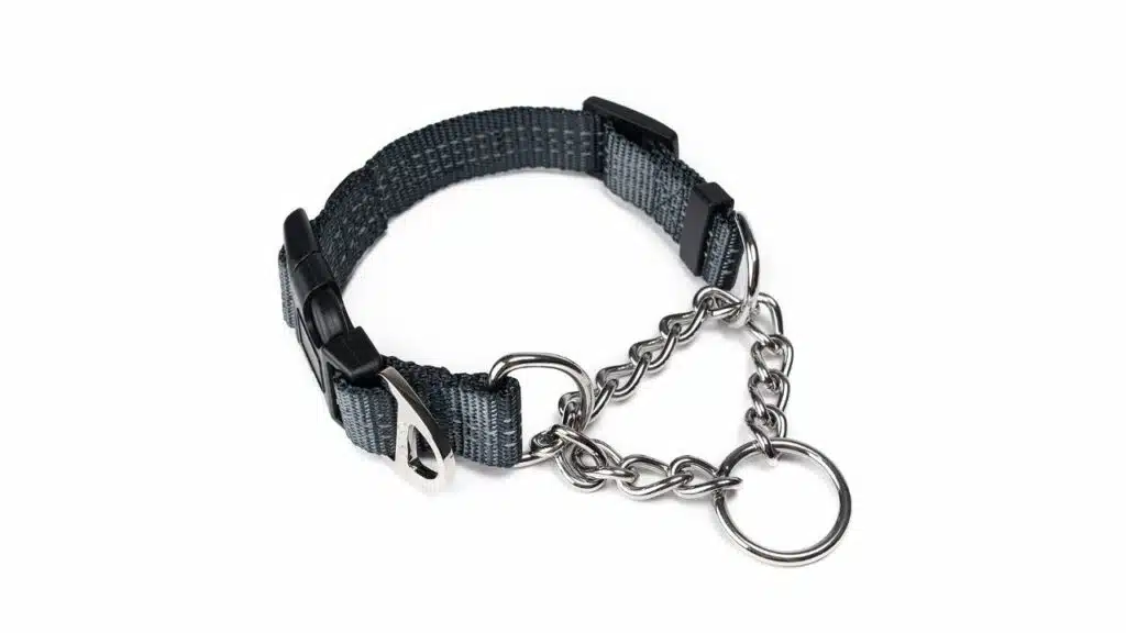 Martingale collar, training dog collar, limited cinch chain pet gear for no pull dog walking large grey