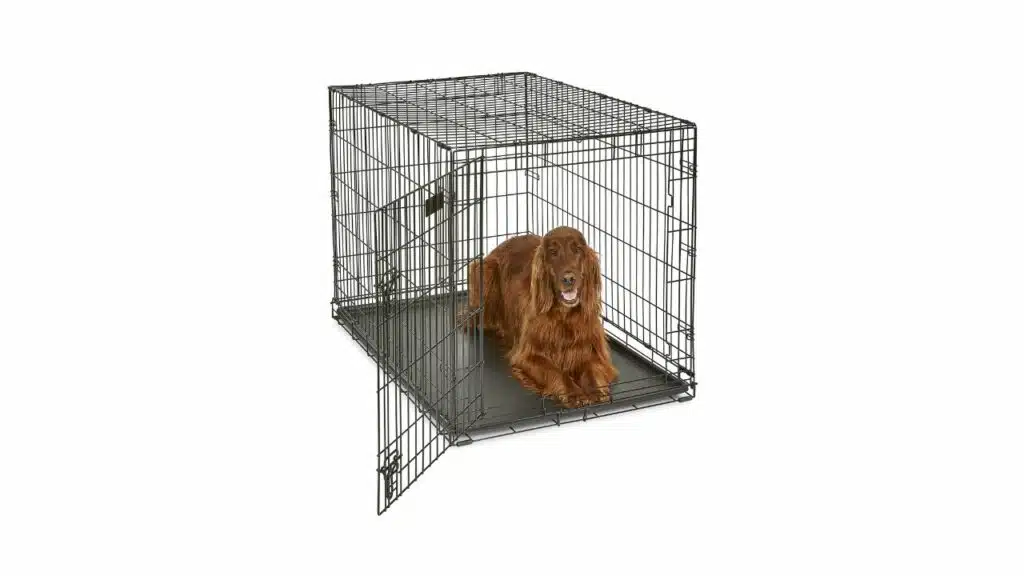 Midwest homes for pets icrate dog crate