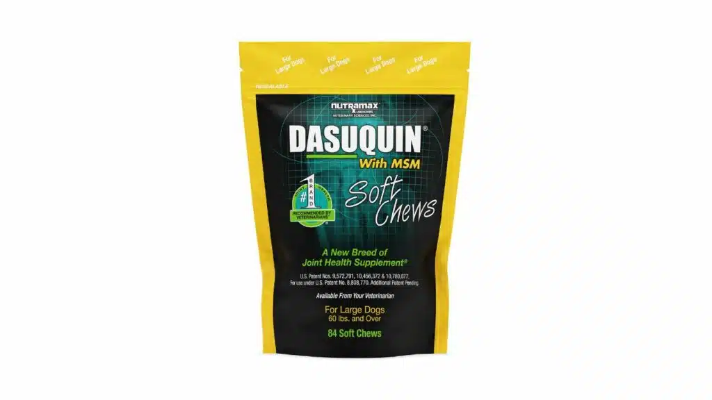 Nutramax dasuquin with msm joint health supplement for large dogs