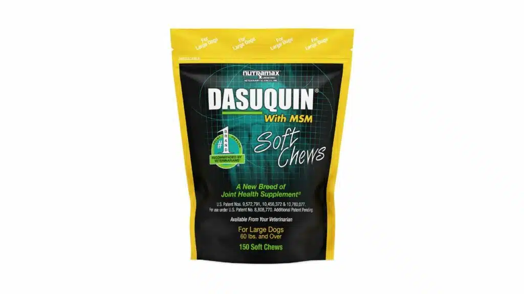 Nutramax dasuquin with msm joint health supplement for large dogs