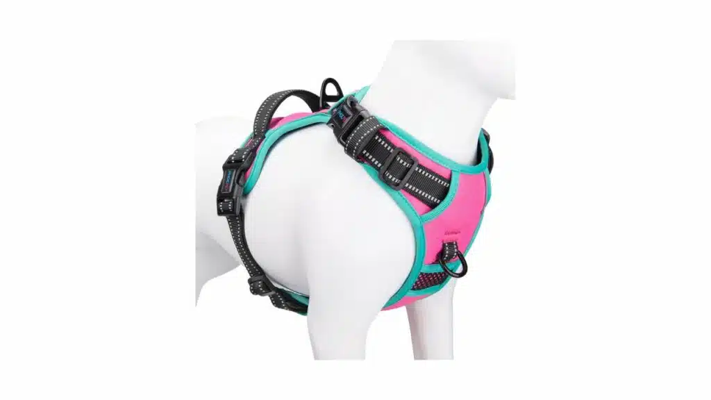 Phoepet dog harness