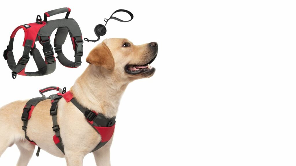 PUPTECK Escape Proof Dog Harness
