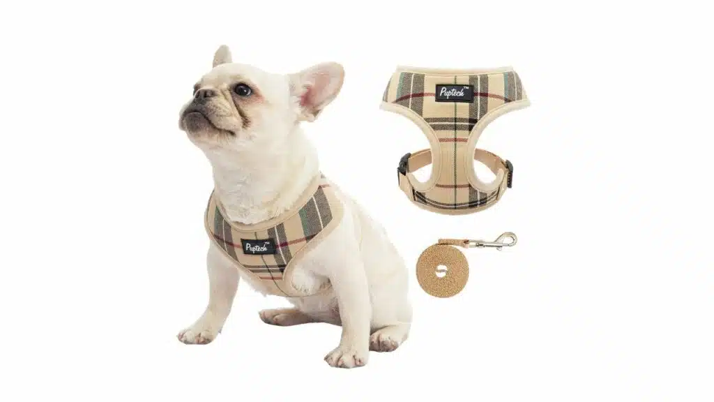 Pupteck soft mesh dog harness and leash set
