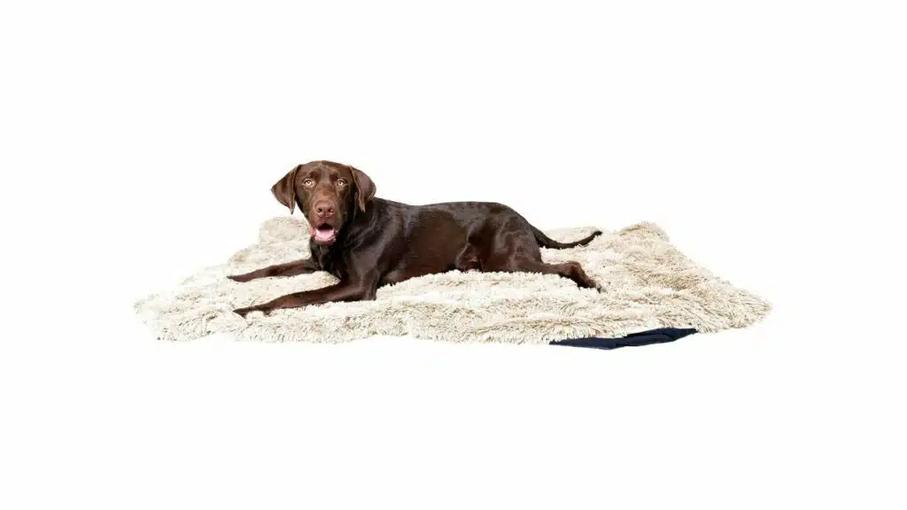 Pawproof fuzzy pet throw blanket - waterproof blanket for dogs & cats - faux fur & ultra-soft microsuede