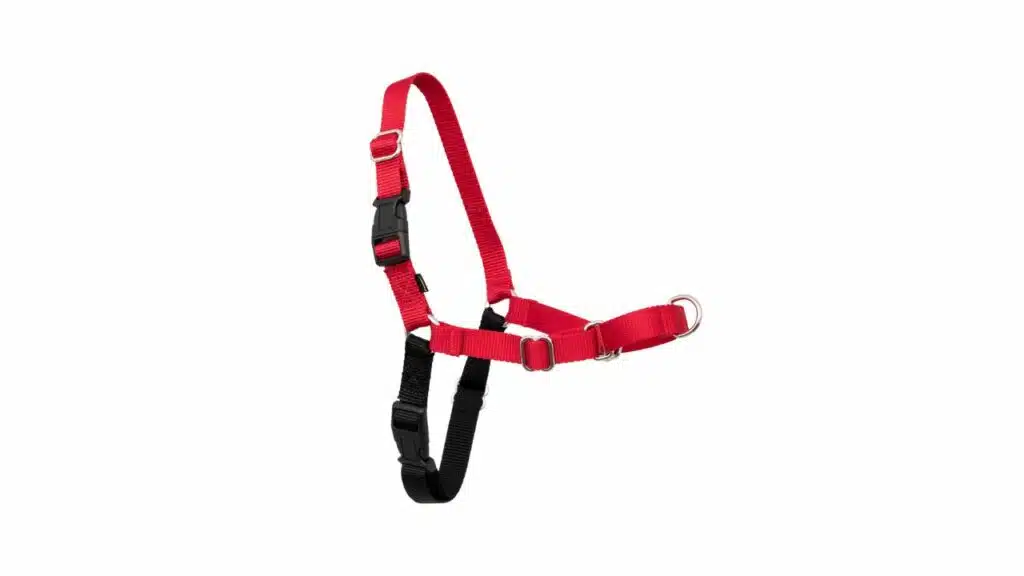 Petsafe easy walk harness