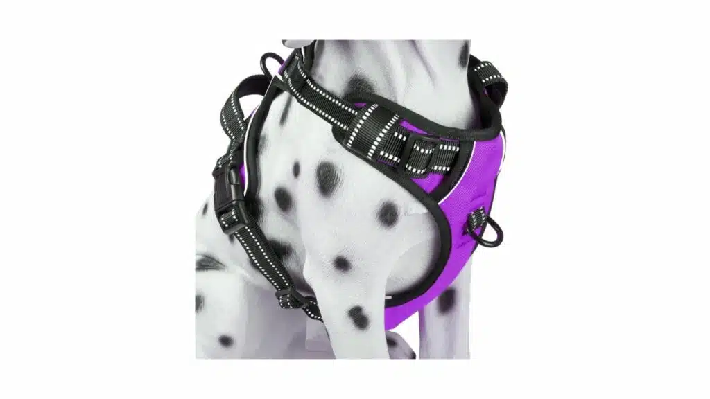 Poypet no pull dog harness