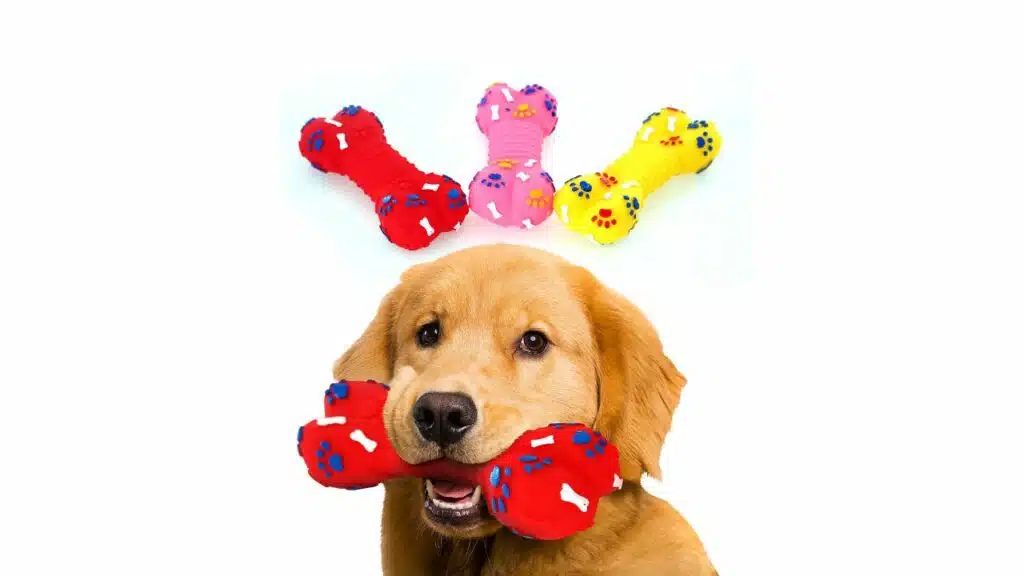 Serenelife dog bone squeaky toy