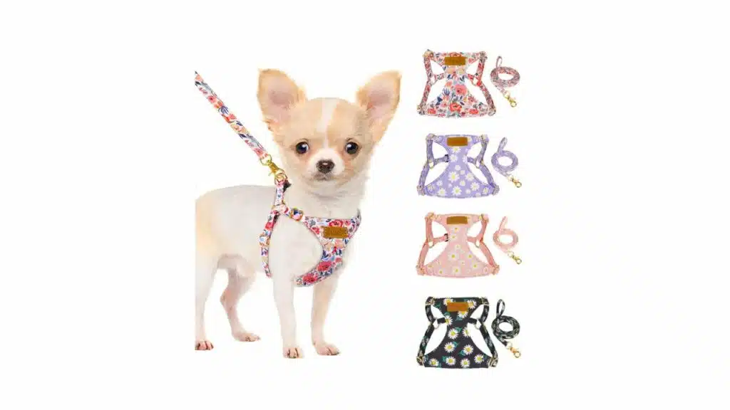 Slowton no pull dog harness with leash - soft lightweight floral pattern puppy harness