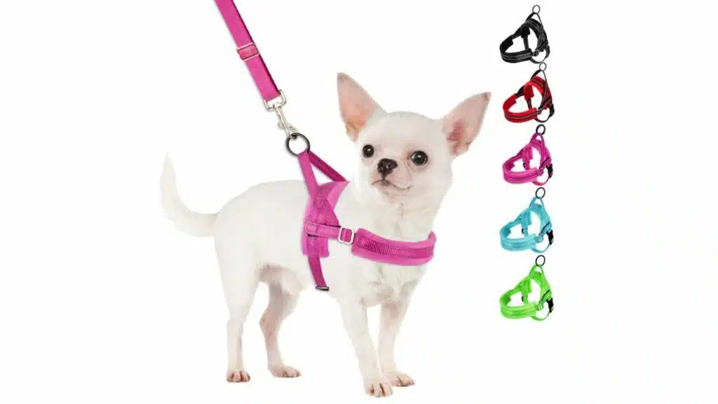 Slowton no pull small dog harness and leash set