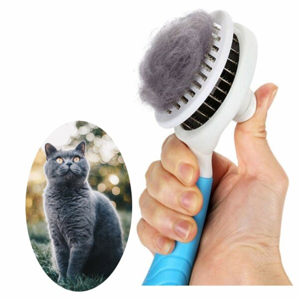 Best Brush for Long Hair Cats: Top 8 Brushes for Easy Grooming