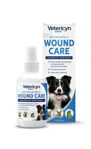 Best antibiotic ointment for dogs: top picks for wound healing