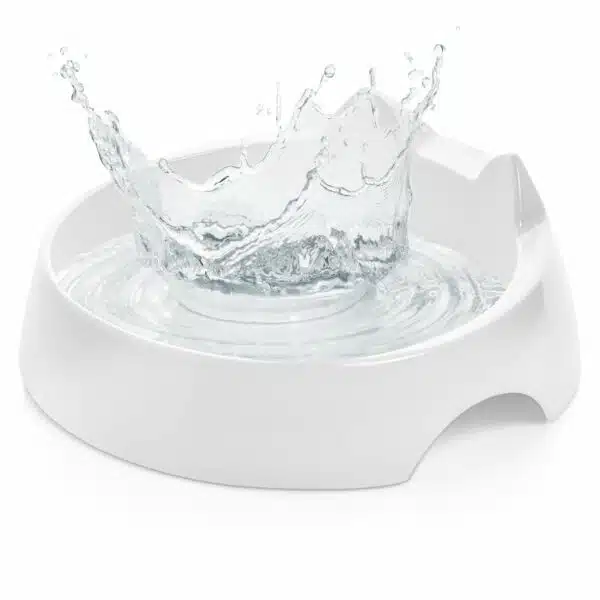 Best water bowl for cats: top picks for 2023