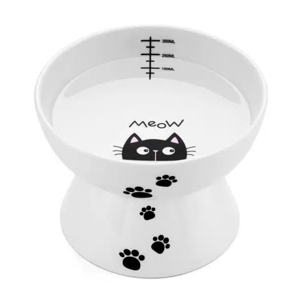Best water bowl for cats: top picks for 2023