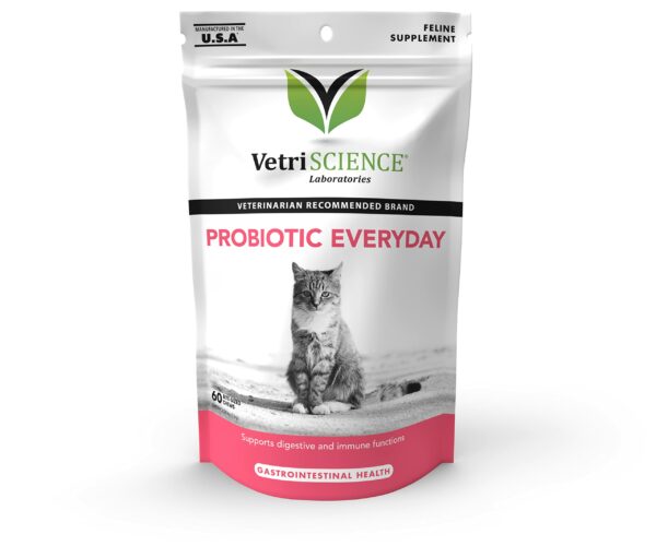 Best probiotics for cats: top picks for a healthy gut