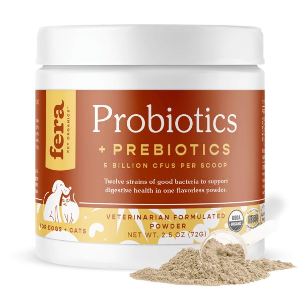 Best probiotics for cats: top picks for a healthy gut