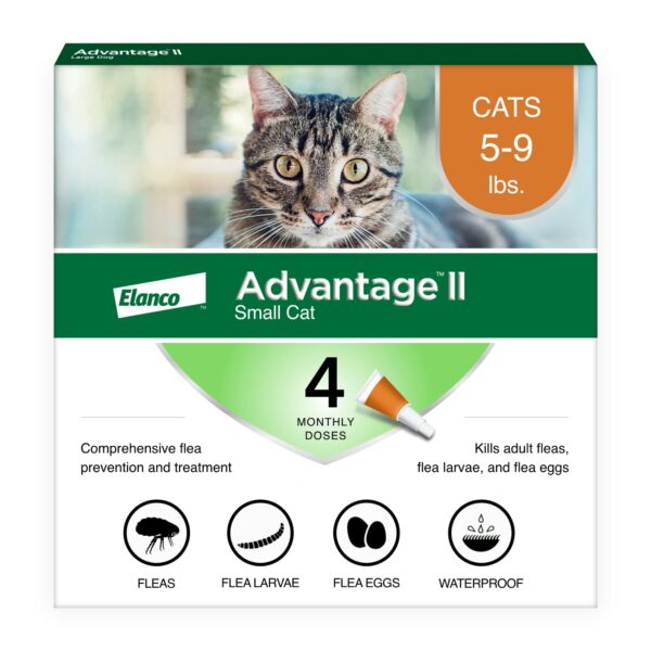 Best Flea Prevention for Cats: Top Products for a Flea-Free Feline