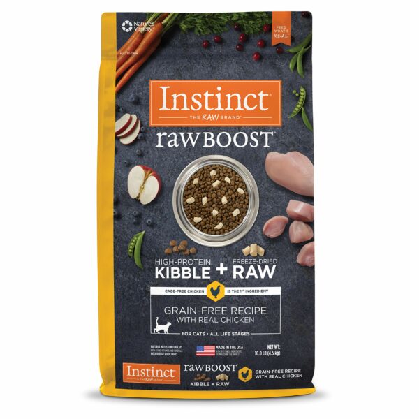 Best raw food for cats: a comprehensive guide to choosing the right diet