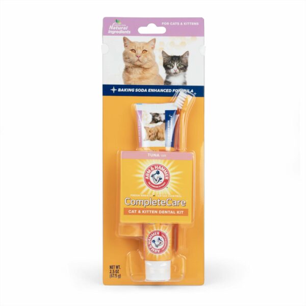Best Toothpaste for Cats: Top Picks for Fresh Breath and Healthy Teeth