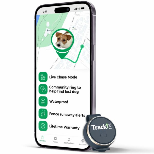 Best gps tracker for cats: top picks for 2023