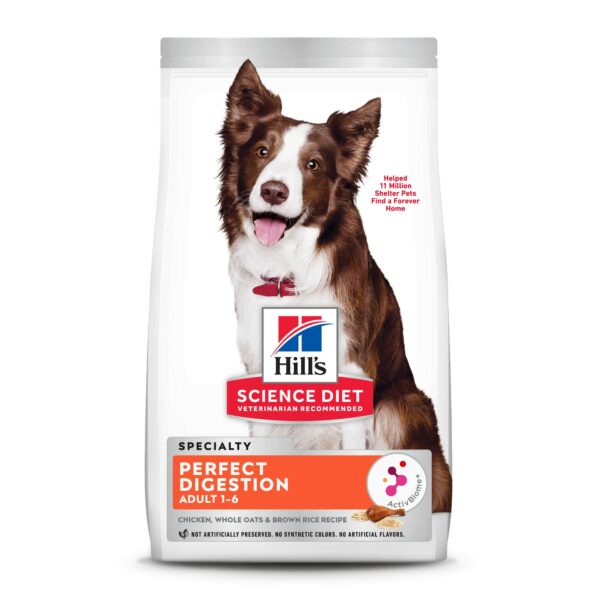 Best Food for Dogs with Diarrhea: Expert Recommendations
