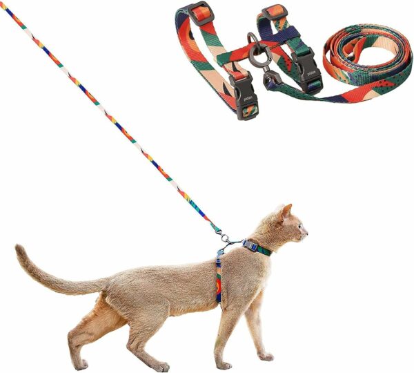 Best harness for cats: top picks for comfort and safety