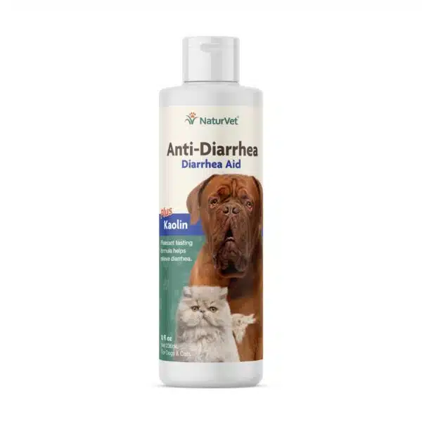 Best food for dogs with diarrhea: expert recommendations