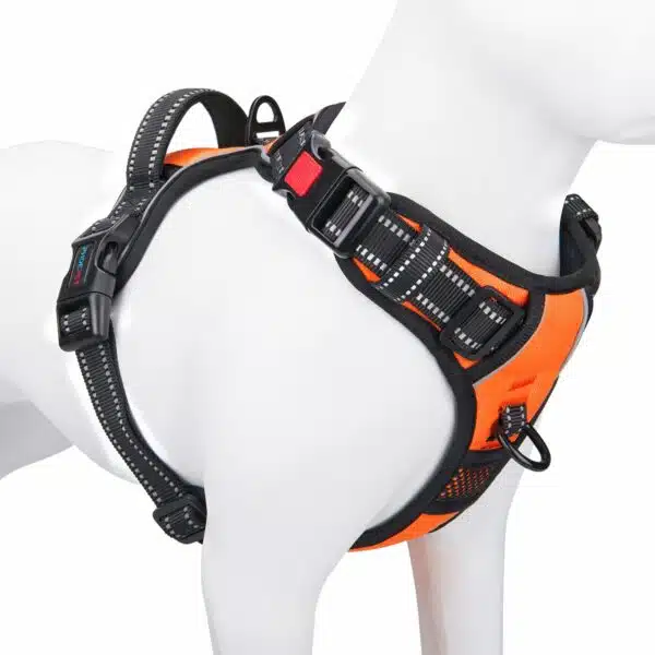 Best harness for dogs: top picks for comfort and control