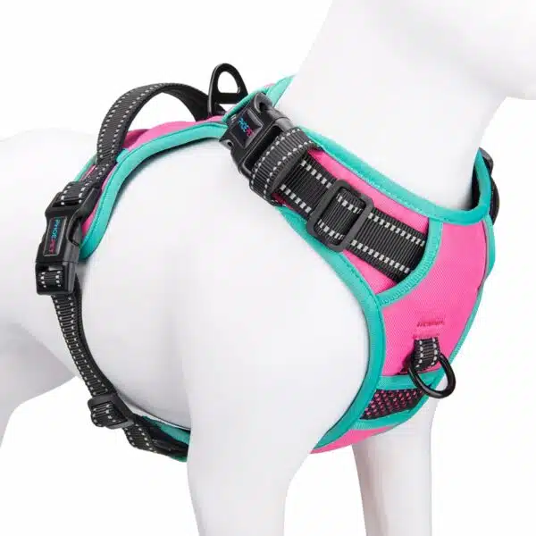 Best harness for dogs: top picks for comfort and control