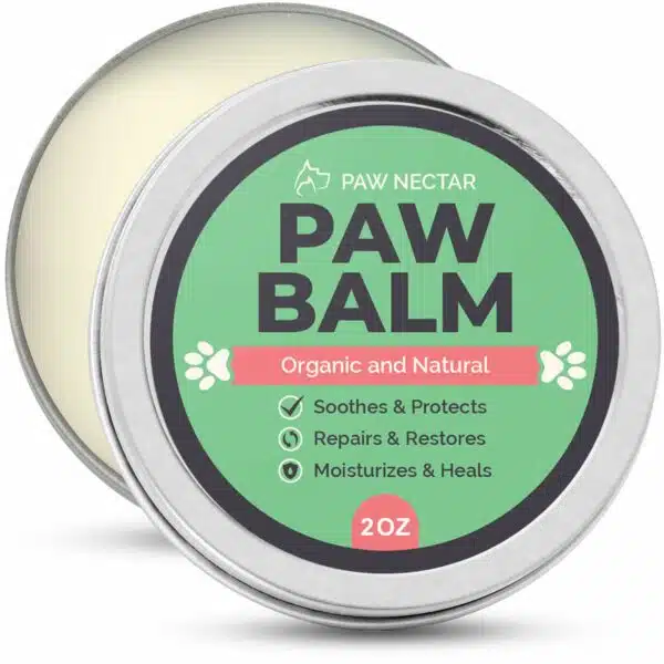 Best paw balm for dogs: top 12 picks for soothing and protecting your pup's paws