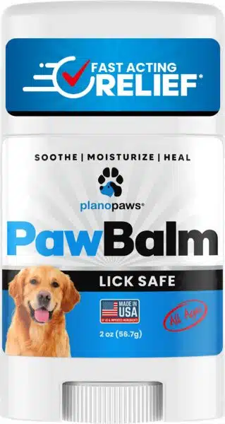 Best paw balm for dogs: top 12 picks for soothing and protecting your pup's paws