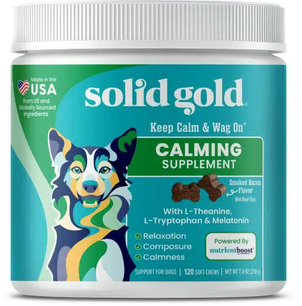 Best calming supplement for dogs: top picks for anxiety relief