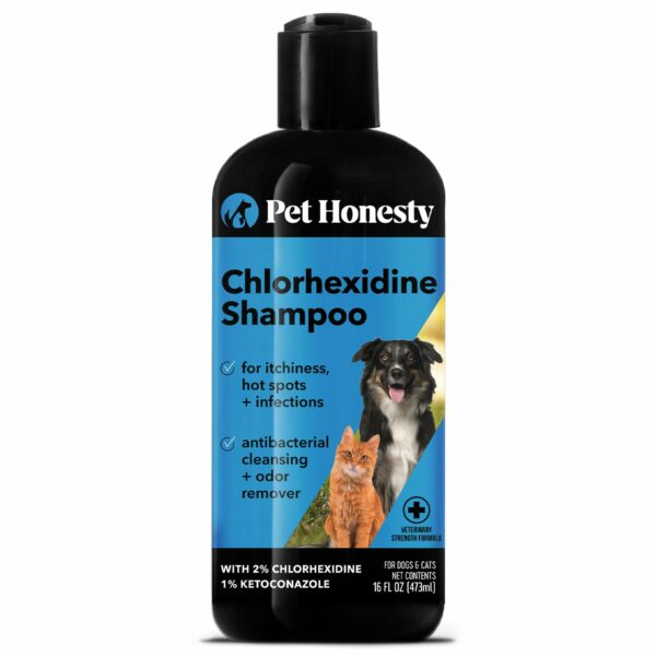 Best Shampoo for Dogs with Allergies: Top 5 Hypoallergenic Options