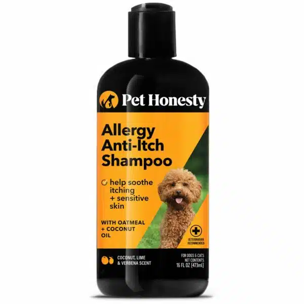 Best shampoo for dogs with allergies: top 5 hypoallergenic options