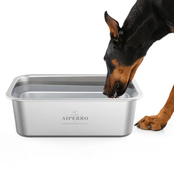 Best water bowl for dogs: top picks for hydration and healthy eating