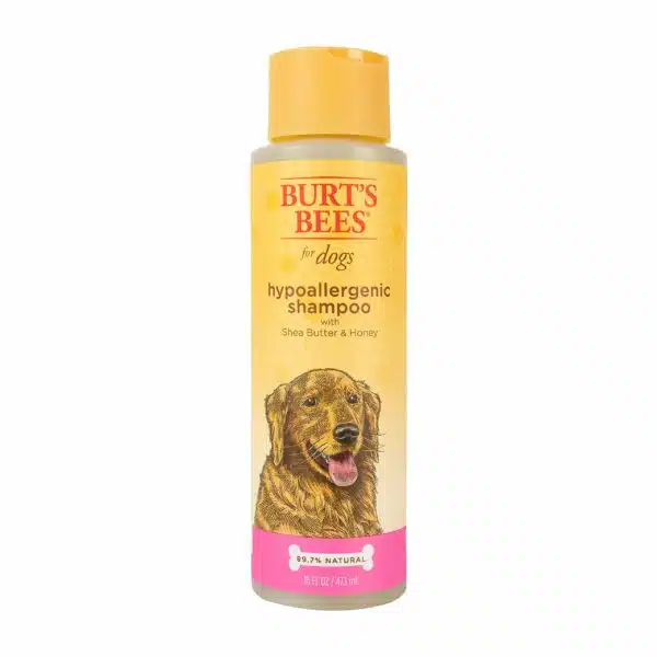 Best shampoo for dogs with dry skin: top 5 products reviewed in 2023