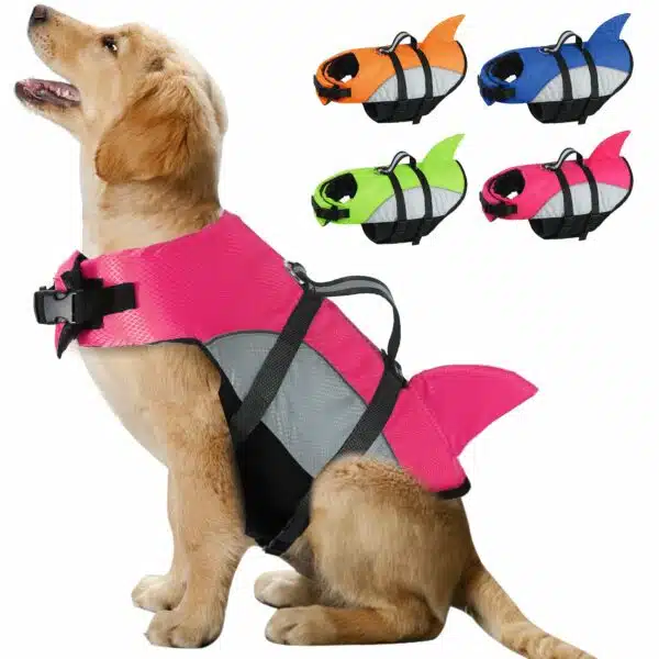 Best kayak for dogs: top 12 picks for your furry friend in 2023