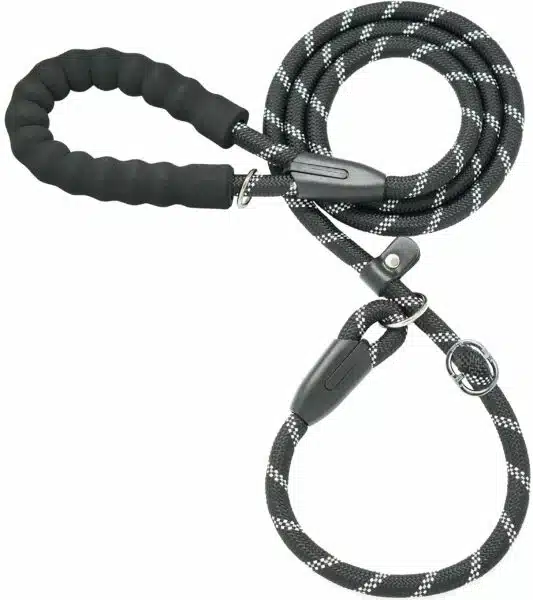 Best training leashes for dogs in 2023