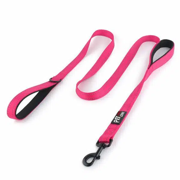 Best training leashes for dogs in 2023