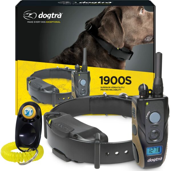 Best Training Collars for Stubborn Dogs: Top Picks for Effective Training