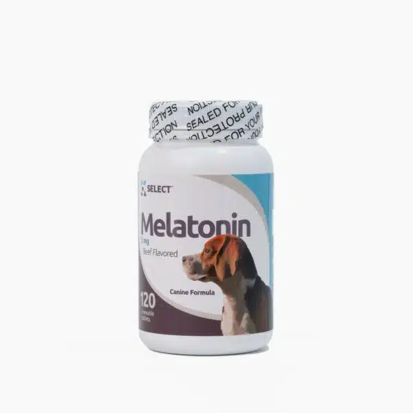 Best melatonin for dogs: top 5 picks for better sleep