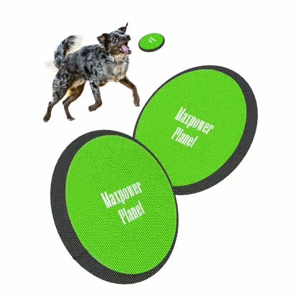 Best frisbee for dogs: top 5 picks for playful pups