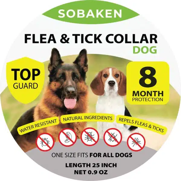 Best tick collar for dogs: top picks for effective tick prevention