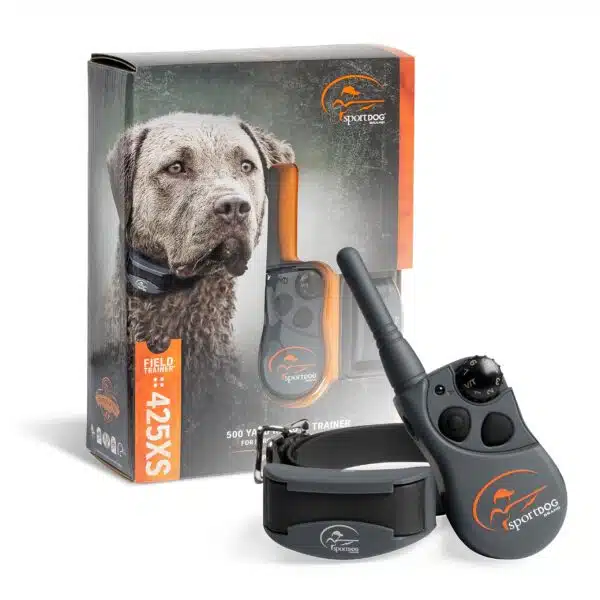 Best training collars for stubborn dogs: top picks for effective training
