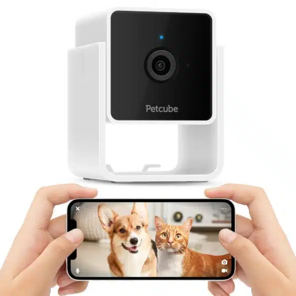 Best pet camera for dogs: top picks for 2023