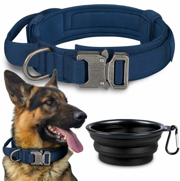 Best Dog Collars for Large Dogs: Top Picks for Comfort and Durability
