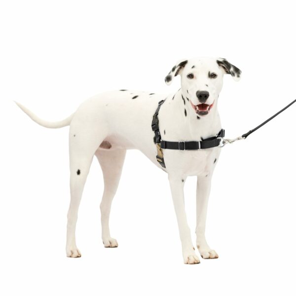 Best Dog Harness for Medium Dogs: Top Picks for Comfort and Control